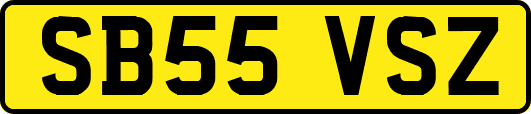 SB55VSZ
