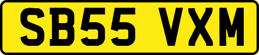 SB55VXM