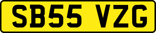 SB55VZG