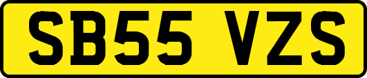 SB55VZS