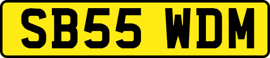 SB55WDM