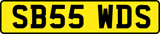 SB55WDS