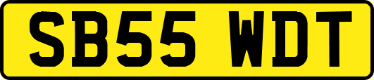 SB55WDT