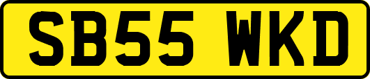 SB55WKD
