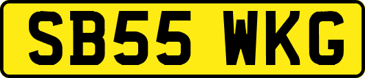 SB55WKG