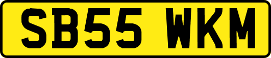 SB55WKM