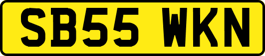 SB55WKN