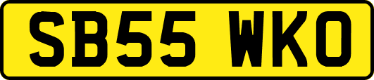 SB55WKO