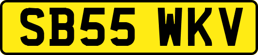 SB55WKV