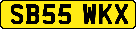 SB55WKX