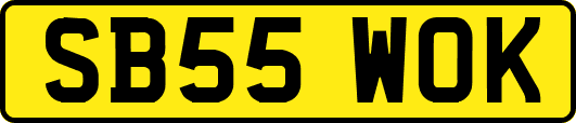 SB55WOK