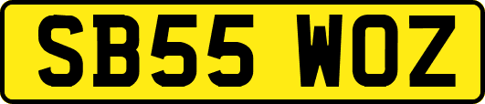 SB55WOZ
