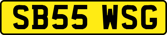 SB55WSG