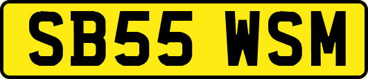 SB55WSM