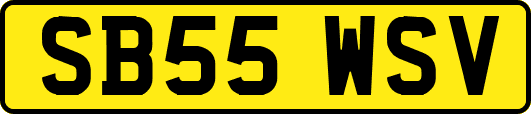 SB55WSV