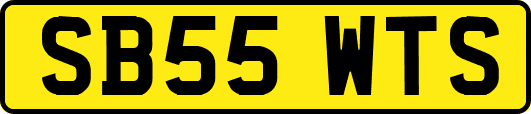 SB55WTS