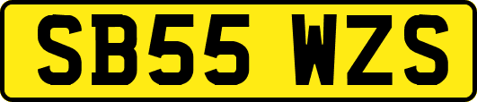 SB55WZS