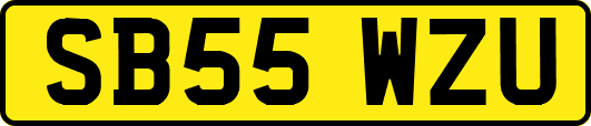 SB55WZU
