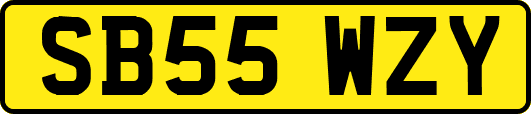 SB55WZY