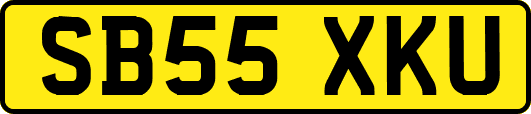 SB55XKU