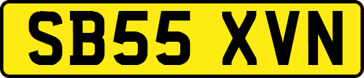 SB55XVN