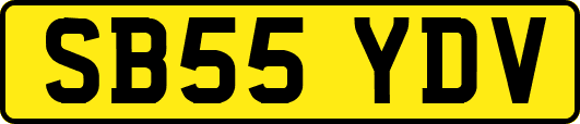 SB55YDV