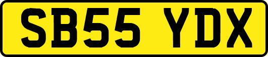 SB55YDX