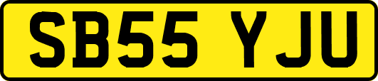 SB55YJU