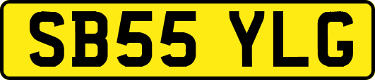 SB55YLG