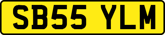 SB55YLM