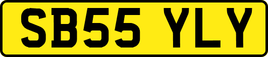 SB55YLY