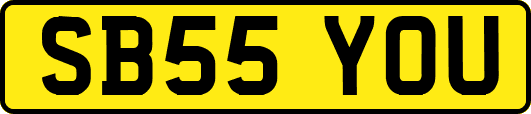 SB55YOU