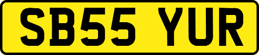 SB55YUR