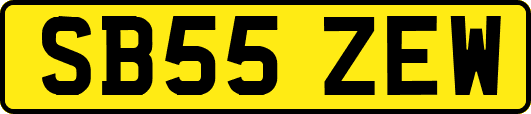 SB55ZEW