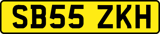 SB55ZKH