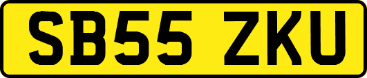 SB55ZKU