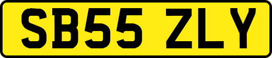 SB55ZLY