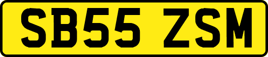 SB55ZSM