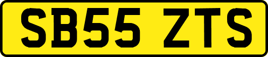 SB55ZTS