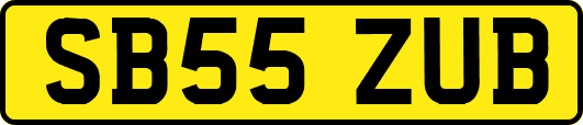 SB55ZUB