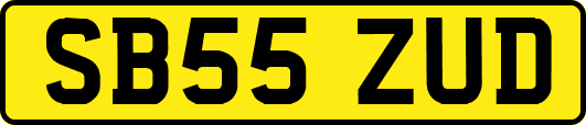 SB55ZUD