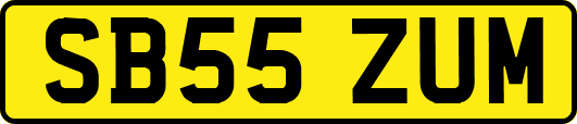 SB55ZUM