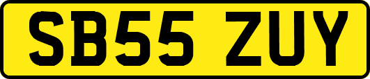 SB55ZUY