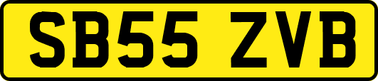 SB55ZVB