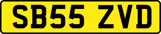 SB55ZVD