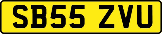 SB55ZVU
