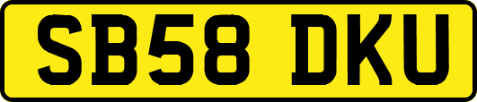 SB58DKU