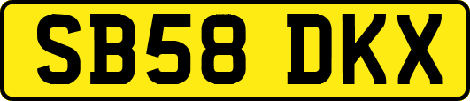 SB58DKX