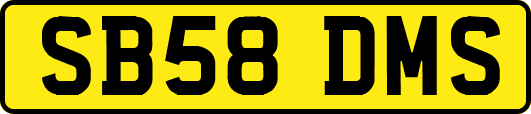 SB58DMS