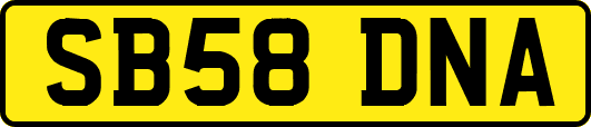 SB58DNA